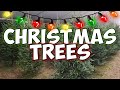 The history of the christmas tree