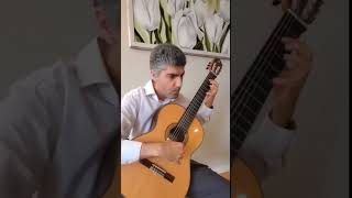 serenade by F Schubert performance by Shahriar Adel