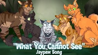 Video thumbnail of ""What You Can't See" Jaypaw. (ORIGINAL WARRIOR CAT SONG)"