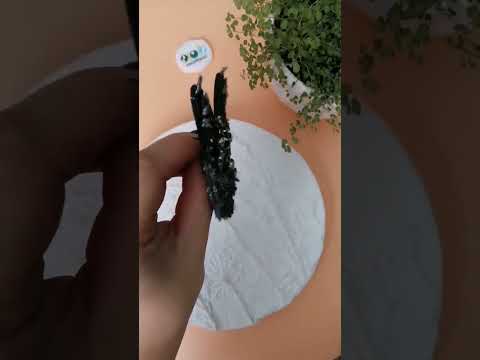 Портрет мэйн-куна - YouTube