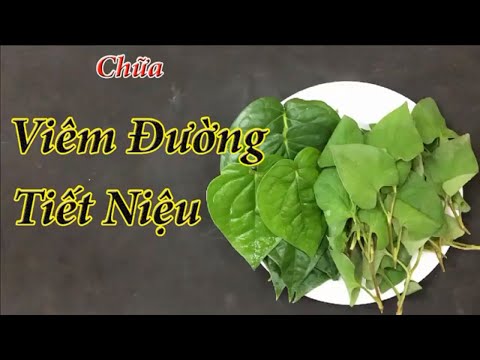 2 Cách chữa viêm đường tiết niệu tại nhà đơn giản và an toàn, nguyên liệu hoàn toàn từ tự nhiên 100%