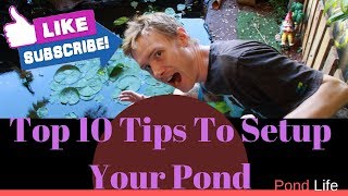 Top 10 Tips To Setup Your Pond