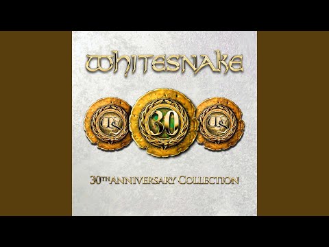 MUCH TOO ROMANTIC!～The Collectors 30th … Whitesnake Whitesnake CD Muzyczne CD - Muziker