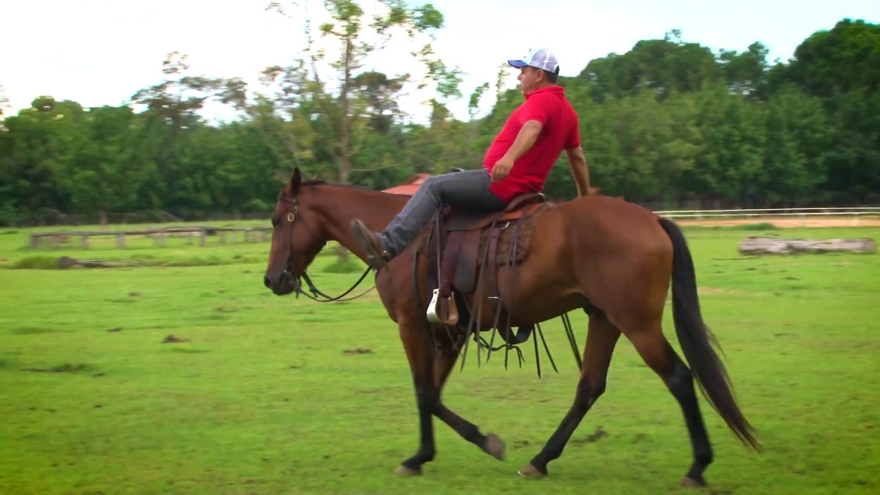 O que fazer em uma situação que o cavalo pula com você em cima