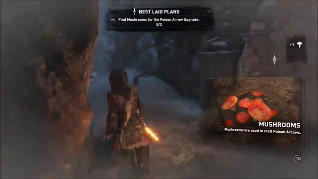 Rise of the Tomb Raider Craft Poison Arrows - YouTube