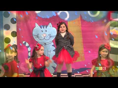 მზესუმზირა 12. 12. 2014