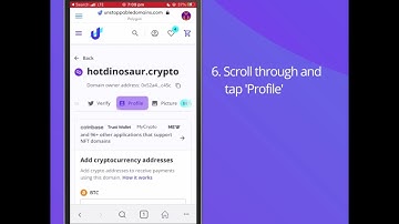 How to Set Up Domain Profiles