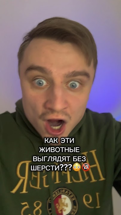 КАК ЭТИ ЖИВОТНЫЕ ВЫГЛЯДЯТ БЕЗ ШЕРСТИ??? - YouTube