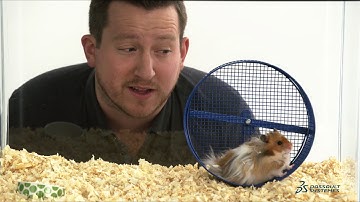 DraftSight or AutoCAD? The Choice is Yours