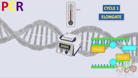 4. Overview of environmental DNA metabarcoding