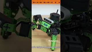 This Hexapod Robot Can Walk Like An Animal