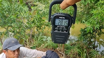 Quá Đã Cặp Rắn Độc Cực Bự | Mười Thương SB_ Tập 62