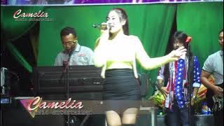 Cinta segitiga // Camelia Music entertaimen  // Avista Loka