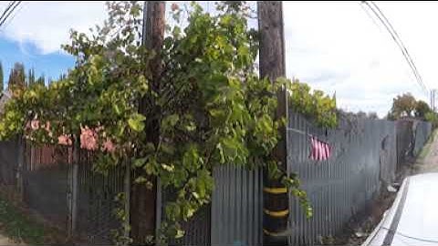 VID 20251111 113452 00 023