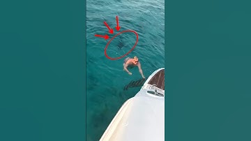 He Had No Idea What Was Beneath Him 😳🦈 #fishing #shark
