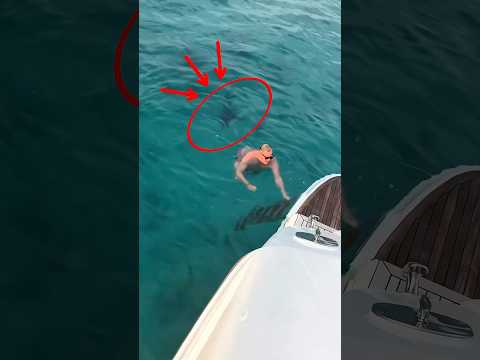 He Had No Idea What Was Beneath Him Fishing Shark