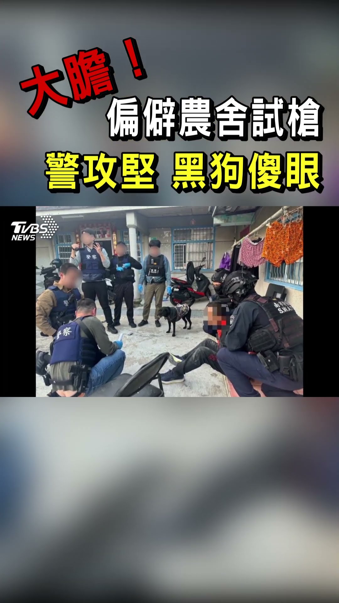 大膽! 偏僻農舍試槍 警攻堅 黑狗傻眼｜TVBS新聞@TVBSNEWS01