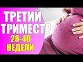 ТРЕТИЙ ТРИМЕСТР 10 главных перемен женщины перед родами