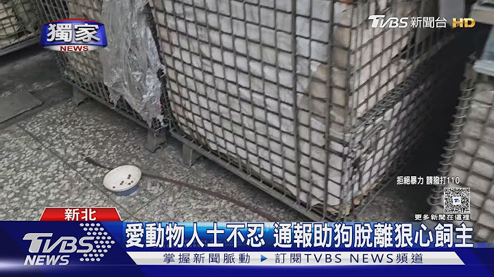 #獨家 工廠業者「狠毆狗狗」 民眾拍下過程救援｜TVBS新聞 @TVBSNEWS01