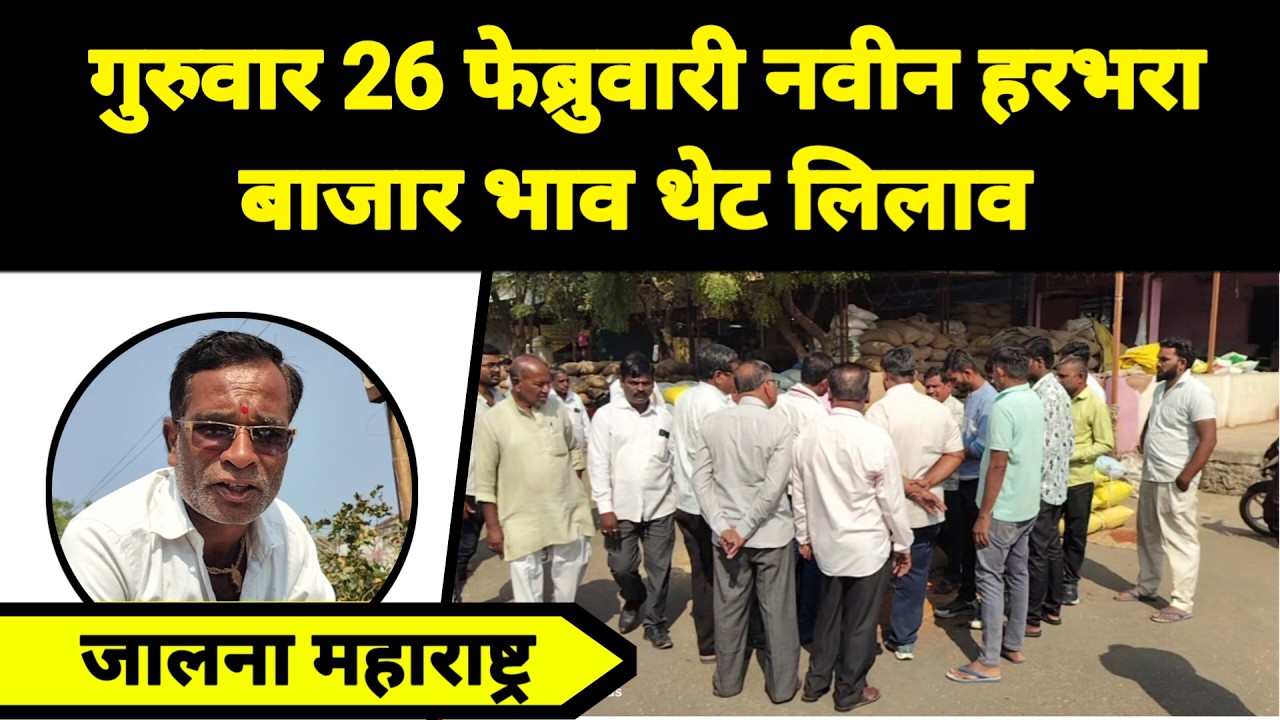 गुरुवार 26 फेब्रुवारी नवीन हरभरा बाजार भाव थेट लिलाव जालना महाराष्ट्र || नवीन हरभरा काय विकतो
