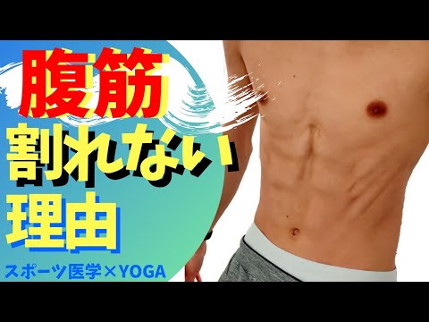 腹筋 横 割れない