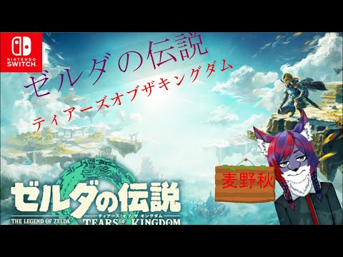 「ゼルダの伝説ティアーズオブザキングダム ]　事故多発ゼルダ　  Vtuber麦野秋