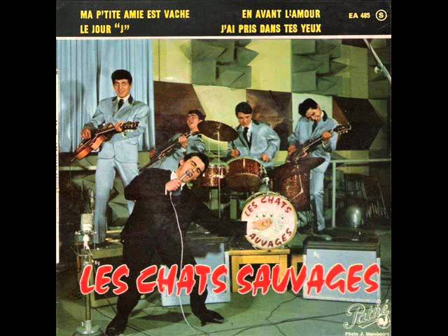 Les Chats Sauvages - C'est Le Jour J