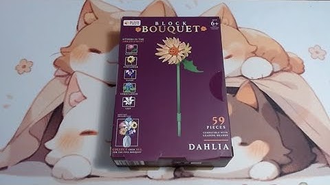 Block Bouquet Dahlia - Block Set Up Cut Out - Only Build - Block Tech - Sped Up with Music