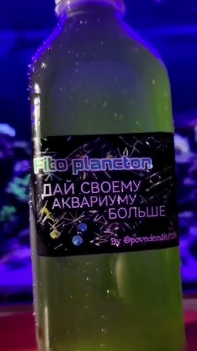 фитопланктон для морского аквариума, полезный помощник. Это и питание ...
