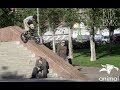 BMX - ANIMAL BIKES "TAKE IT" MIXTAPE