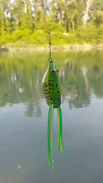 SAVAGE GEAR 3D  FROG 🎣🐸  #fishing #lure #lures #lurefishing #pesca  #frog  #spinning #shorts #rana