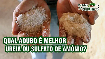 Como usar o sulfato de amônio nas hortaliças?