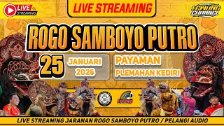 Live Jaranan ROGO SAMBOYO PUTRO di Payaman Plemahan Kediri. PELANGI Audio