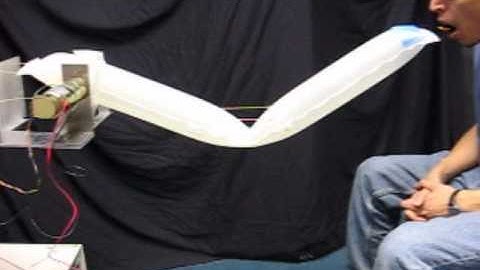 Planar Inflatable Arm