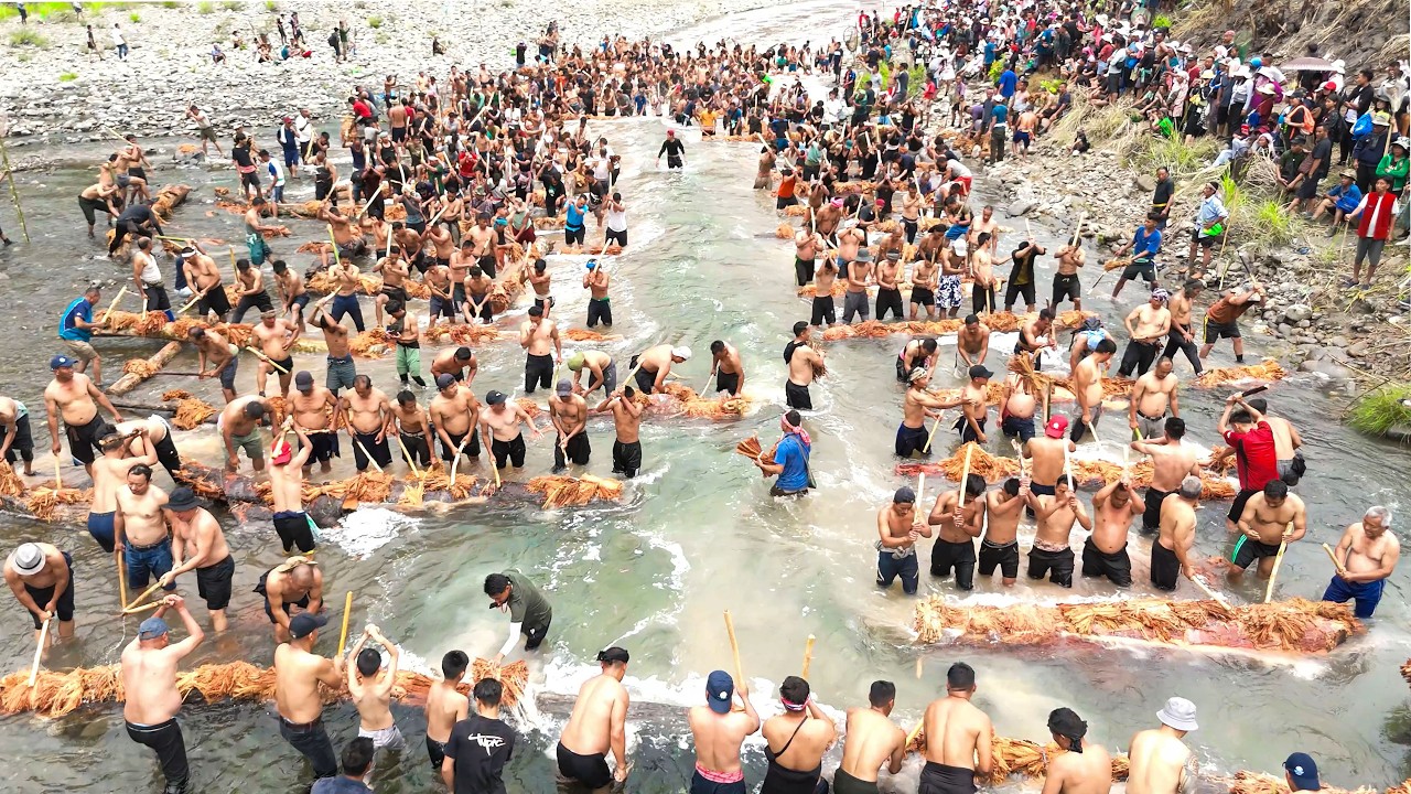 Inside Nagaland's Traditional Fishing | 25th Year of Tsungiki-Philimi | Doyang River Fishing