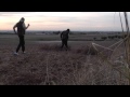 Documental de caza de Jilgueros 2015