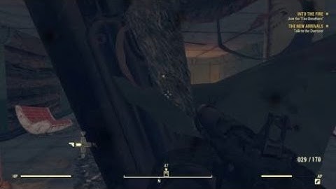 First person + Camera mode & First person + Third person (Fallout 76)