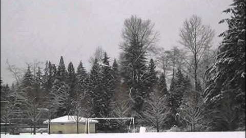 Eflite Apprentice on Skis @ Loutet Park, 27 Feb 2011