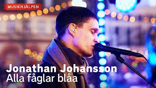 Jonathan Johansson - Alla fåglar blåa / Musikhjälpen 2023