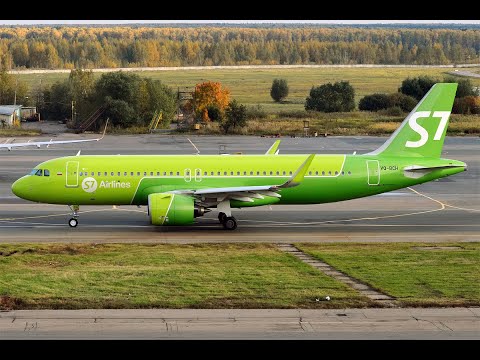 Nick Tsarfin Bongo Official Video