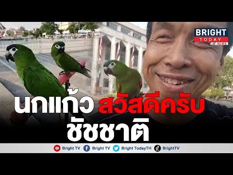 ชัชชาติ สอนนกแก้วมาคอว์ ให้พูด ทำงาน ทำงาน ทำงาน ก่อนเจ้าของให้พูดสวัสดีครับ