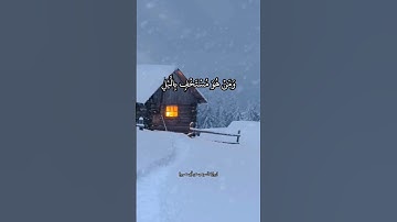 برواية #السوسي ﴿الله يعلم ما تحمل كل أنثى﴾ #القراءات_العشر #قرآن #الشاطبية #بصوتي #قرآن_كريم #الرعد