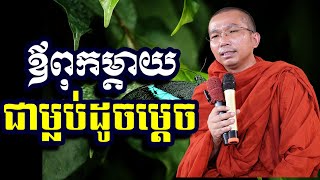 ឪពុកម្ដាយជាម្លប់ដូចម្ដេច, ជួន កក្កដា, Choun Kakada