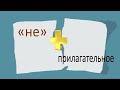 Русский язык. Правописание &quot;НЕ&quot; с прилагательными. Видеоурок