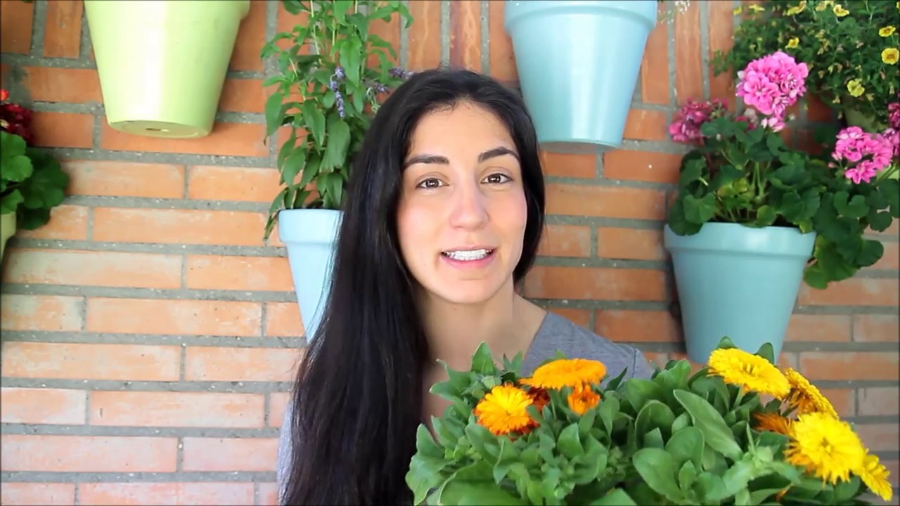 CÓMO PLANTAR CALÉNDULA EN CASA | Cosmética Natural - YouTube