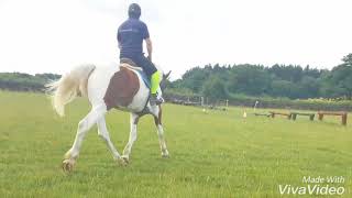 Charlie Flatwork