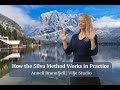 The Silva Method in Practice: Alpha State, Calm Learning & Better Decisions | Nordic Coaching