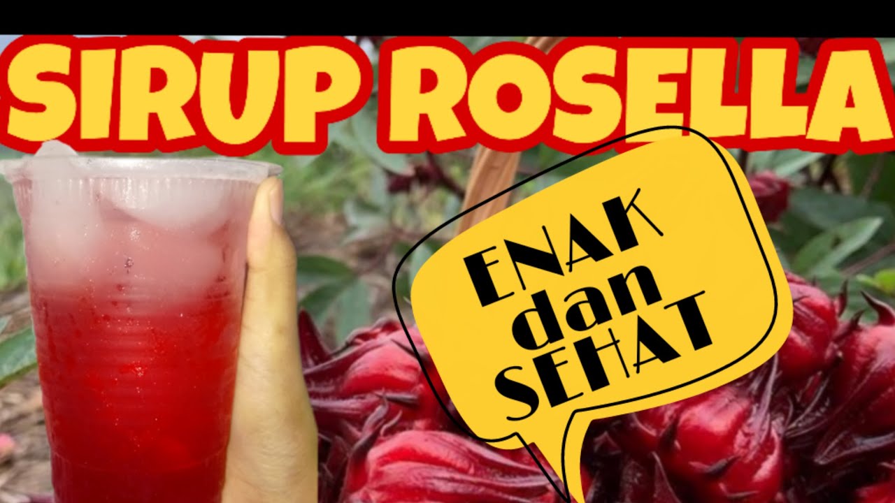 Cara Membuat Sirup Rosella | Enak dan Sehat 