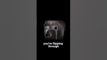 The Secret Power of Your TV Remote (You Just Can’t See It)