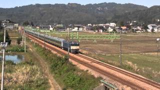 E233系3000番代チタNT54＋NT4編成配給　配9772ﾚ　EF64 1031　音量注意